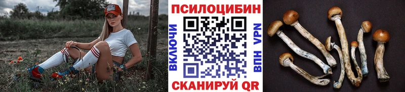 omg ссылка  Никольск  Галлюциногенные грибы ЛСД  дарнет шоп 